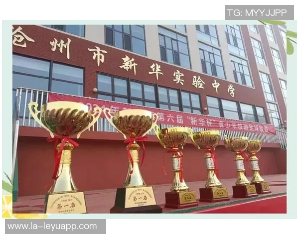 推动足球发展与改革的综合报告与未来展望分析